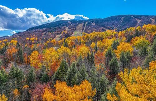Sunday River Area Apartment | Fall Line W212
