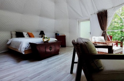 Laurentian Hills Cabin | Fantastic Dome Nestled Amidst Trees and Barbecue Provided in Petawawa, Ontario