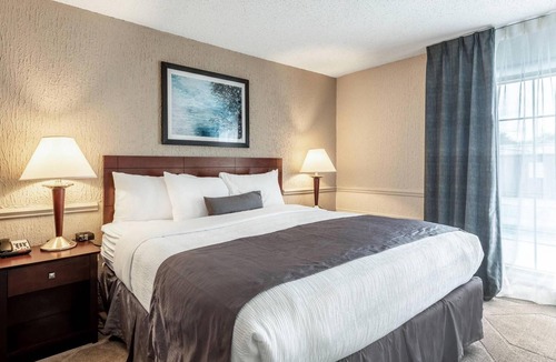 Blue Ash Hotel | Flawless Comfort with Free Hot Breakfast Near Montgomery Park – Only 4.8 Mi Away