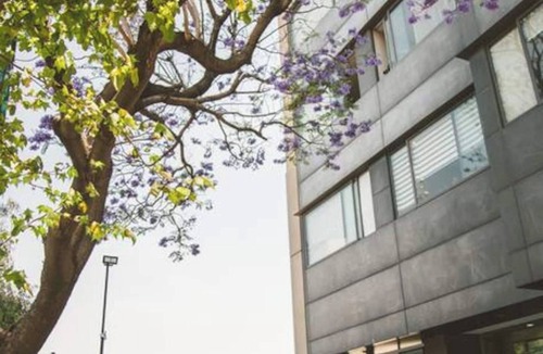 Ampliacion Granada Apartment | Fully equipped kitchen, high speed internet, comfy king-size bed and a sofa bed.