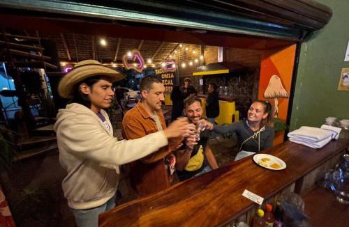 Santo Domingo Other | Fungi Tipis
