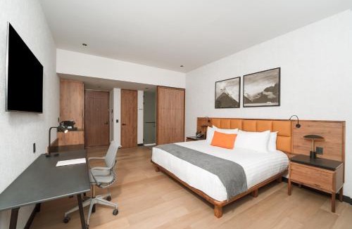 Leon Hotel | Galeria Plaza Leon