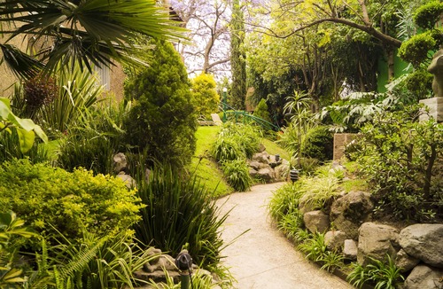 Campestre Apartment | GARDEN HOUSE, WELCOME TO SAN ANGEL NEIGHBOURHOOD