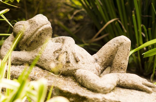 Campestre Apartment | GARDEN HOUSE, WELCOME TO SAN ANGEL NEIGHBOURHOOD