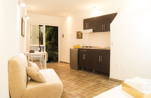 Coyoacan Apartment | GARDEN HOUSE, WELCOME TO SAN ANGEL NEIGHBOURHOOD