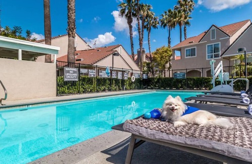 Downtown Village House | Get Ready for the Perfect Vacation Escape! THREE 2BR Suite w/ Full Kitchen, Pool