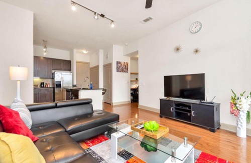 Texas Medical Center Apartment | Great Location with views, Minutes from Medical Center, MD Anderson, NRG Center