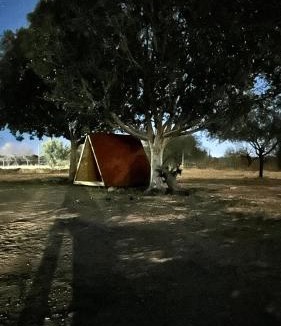 Central Sonora Other | Hacienda Corza