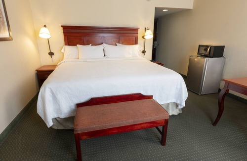 Tlaquepaque Hotel | Hampton Inn by Hilton Guadalajara-Aeropuerto