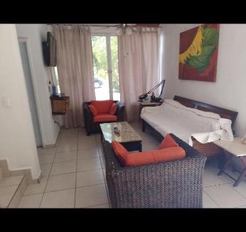 Valle Dorado House | Happy turtle