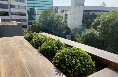 Miguel Hidalgo Apartment | Hermoso departamento en el corazón de Polanco