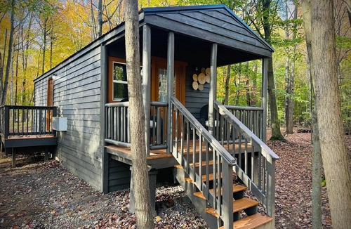 Birch Run Township Cabin | Hidden Oaks | Lodge Cabin | Unit 3