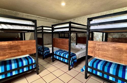 Centro Hostel | Hostal 66