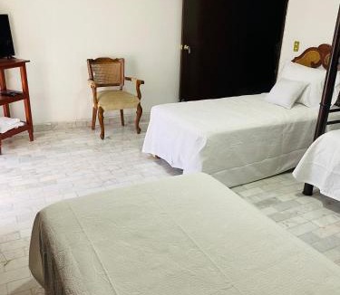 Providencia Hostel | Hostal Guadalajara Cosmopolitan Providencia