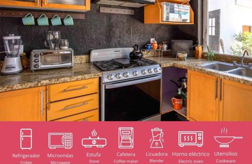 Lafayette House | Hostal La Paz & Love Guadalajara