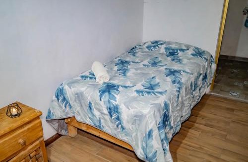 Pachuca House | Hostal Makea Pachuca
