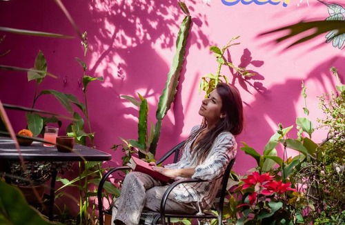 Oaxaca Hostel | Hostel ∙ 8 guests