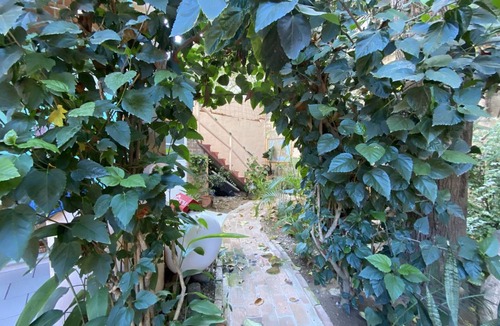 Sayulita Hostel | Hostel ∙ 8 guests
