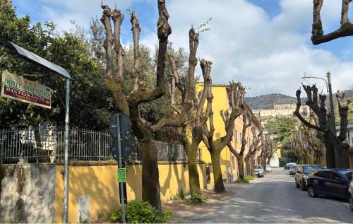 Massa Hotel | Hotel Annunziata