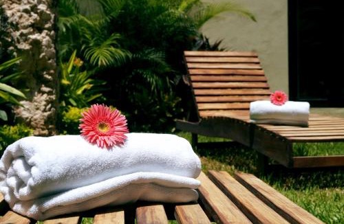 Zona Paseo Montejo Hotel | Hotel Casa Palomino