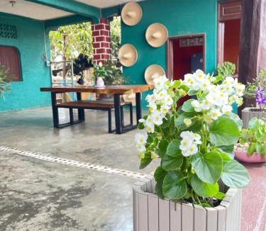 Troncones House | Hotel Casa Verde