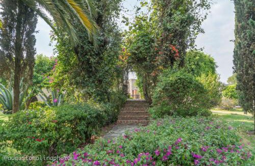 Cholula Hotel | Hotel El Cristo