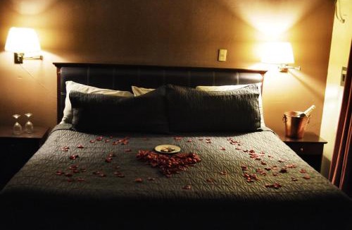 Irapuato Hotel | Hotel Flamingo Kristal