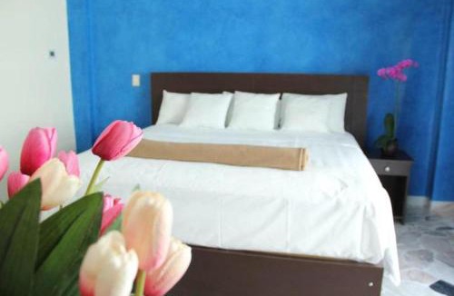 Tuxtla Gutierrez Hotel | Hotel María Eugenia Tuxtla Gutiérrez