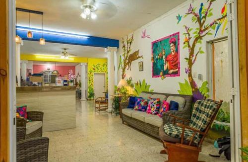Progreso Municipality Hotel | Hotel Maria's Nicte Ha