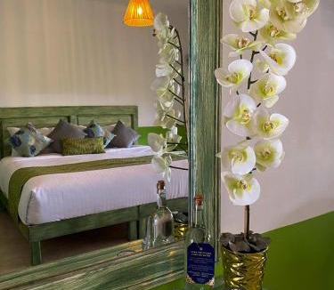 Xico Hotel | Hotel Pedregal
