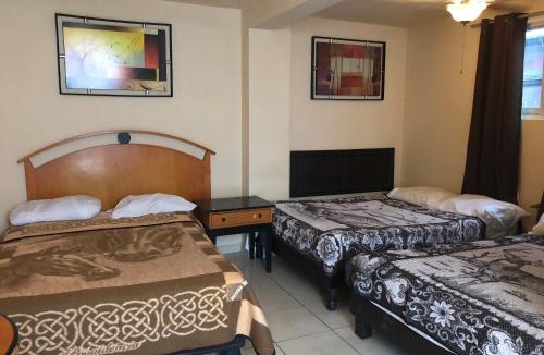Monterrey Centro Hotel | Hotel Regis