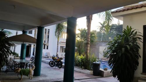 Yautepec Hotel | Hotel Terrazas Inn