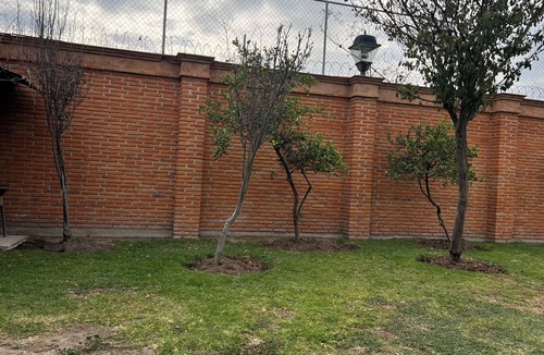 Tequisquiapan House | House behind the train tracks, relax & nature