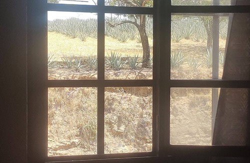 Tequila House | House with excellent location to reach by road or highway.