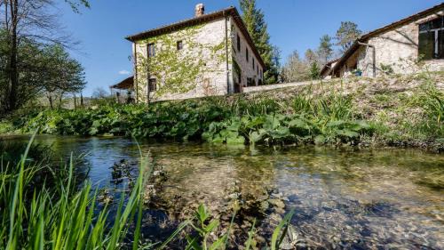 Gaiole in Chianti Villa | Il Molinaccio