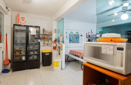 Sayulita Hostel | ITH Sayulita Amazing Surf Hostel