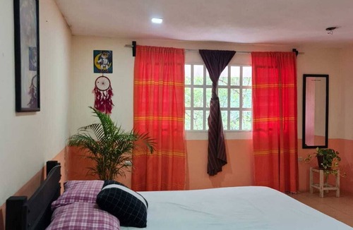 Xico Hotel | Jardin de los Anturios, Xico