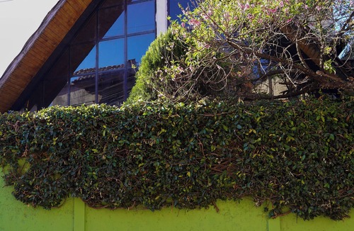 De Mexicanos House | John Cruz House
