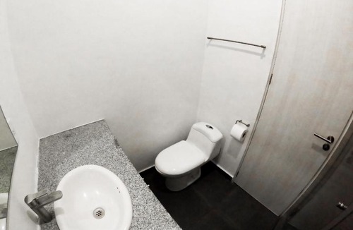 Coyoacan Apartment | Lúmina CDMX