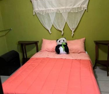 Tlaquepaque House | La casa de Anita