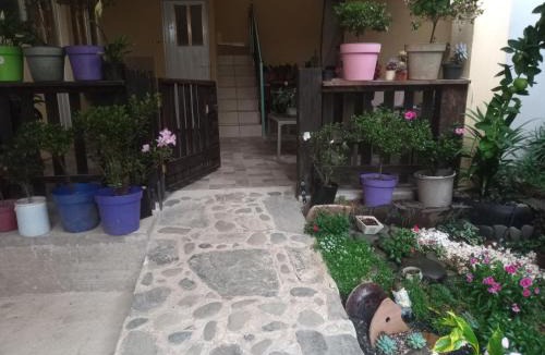 Zacatlan Apartment | La casa de las flores