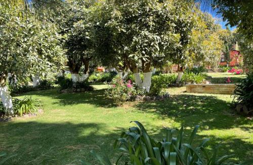Mazamitla Cabin | La Huerta