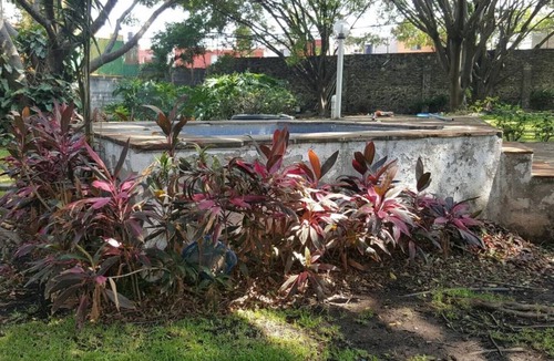 Crucero Tezoyuca House | La Palma, un lugar donde puedes estar en contacto con la naturaleza.