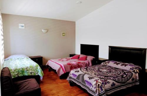 San Martin de las Piramides Apartment | La Quinta de Chaco casa residencial entera