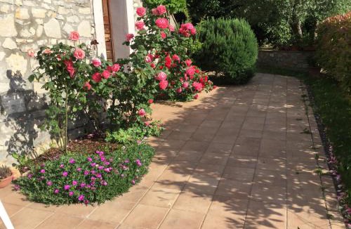 Corbara House | Le Macchie