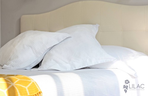 Del Carmen Apartment | Located In One Of The Oldest Streets Of The Historic Center Of Coyoacan