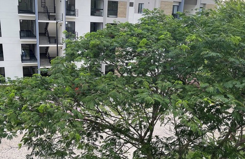 Ixtapa Apartment | Loft Cerca de Playa!
