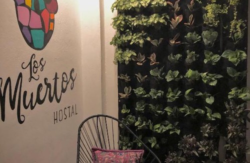 Romantic Zone Hostel | Los Muertos Hostal