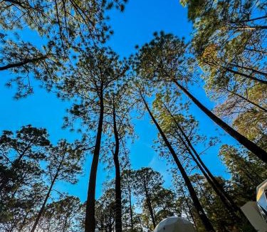 Tapalpa Other | Luahara Glamping Tapalpa - Domo Natural Experience