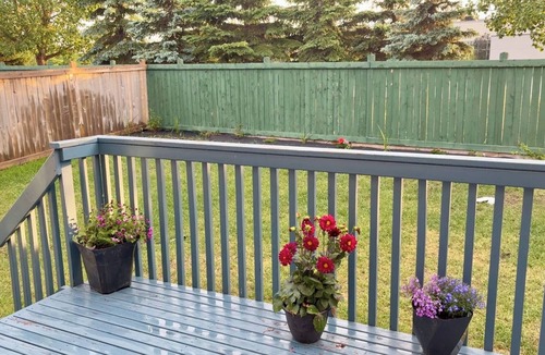 Northwest Edmonton House | Lucas Cozy basment 1